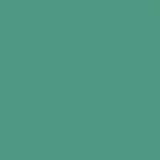 Createx Lifeline Acrylic Paint 5030