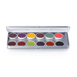 BEN NYE Magicake Aqua Paint FX Palette- 12 Colors - CFK-16