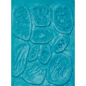 Burns Mold 2 stages - SOS2-B