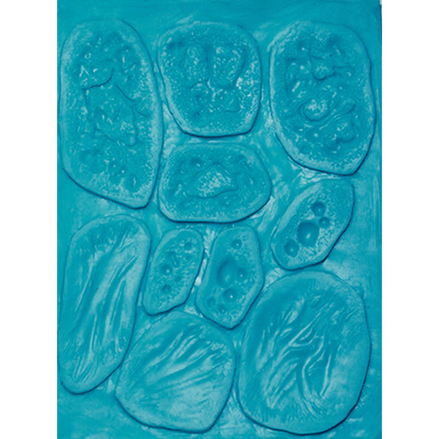 Burns Mold 2 stages - SOS2-B