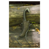 Dark Elven throwing Knife with Holder