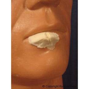 RubberWear Large Split/cut Lip Foam Latex Prosthetics L