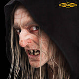 Witch Nose prosthetic- Black Label Latex