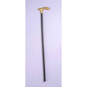 Walking CANE