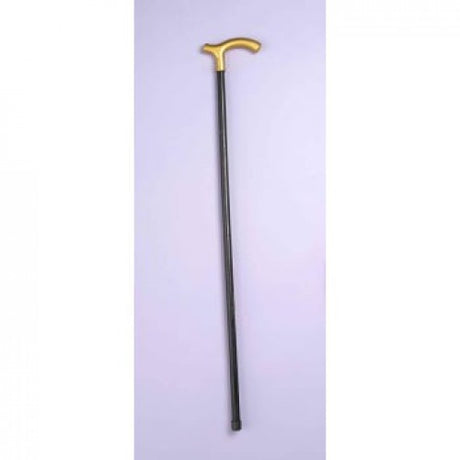 Walking CANE