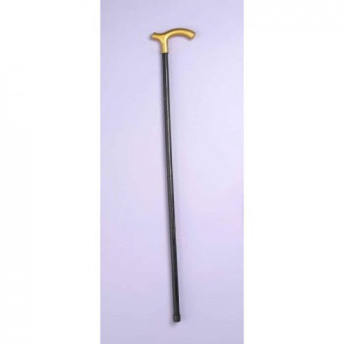 Walking CANE