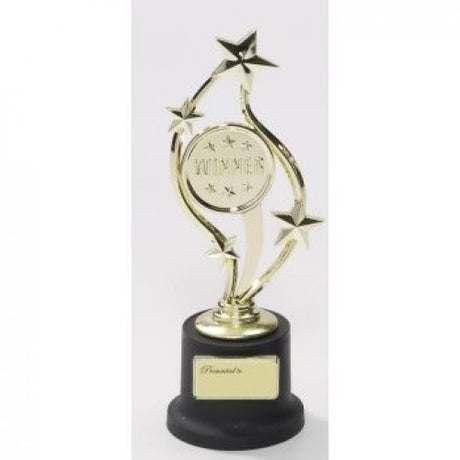Small TROPHY WINNER- Gold
