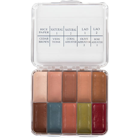 Skin Illustrator On Set Palette  Fleshtone