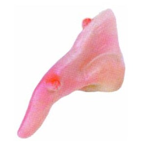 WITCH NOSE with Elastic