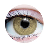 Charm Chestnut Contact LENSES