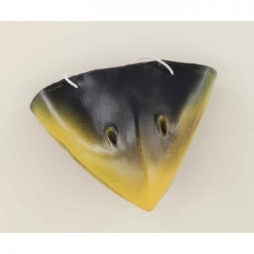 CROW Beak Animal NOSE