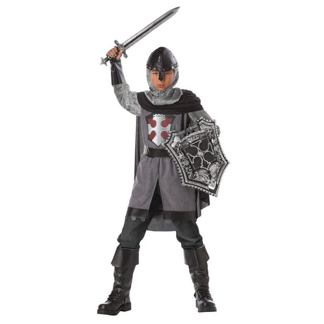 Dragon Slayer Knight Costume