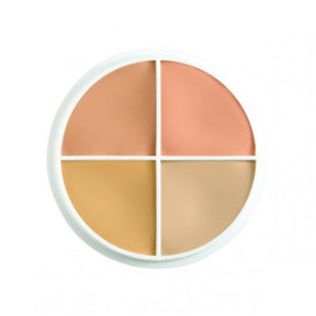BEN NYE Cover-All Concealer Wheel 4 colors SK-1