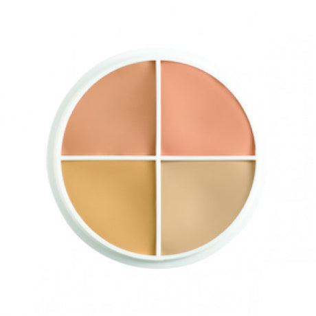 BEN NYE Cover-All Concealer Wheel 4 colors SK-1