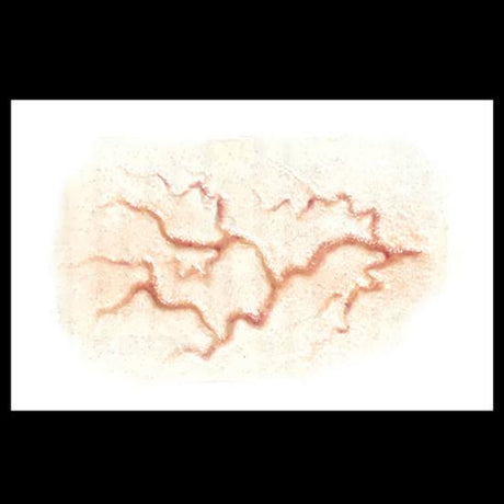 Veins large FX Transfers Tinsley